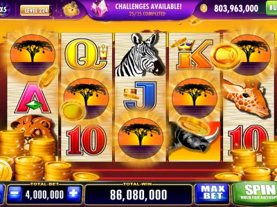 Live Betting Interface